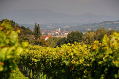 Bad Waltersdorf